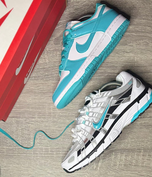Nike P-6000 Dusty Cactus