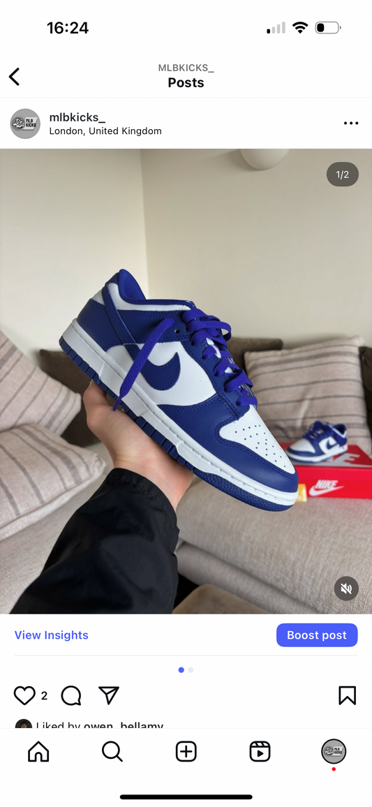 Nike dunk low ‘Blue/white’